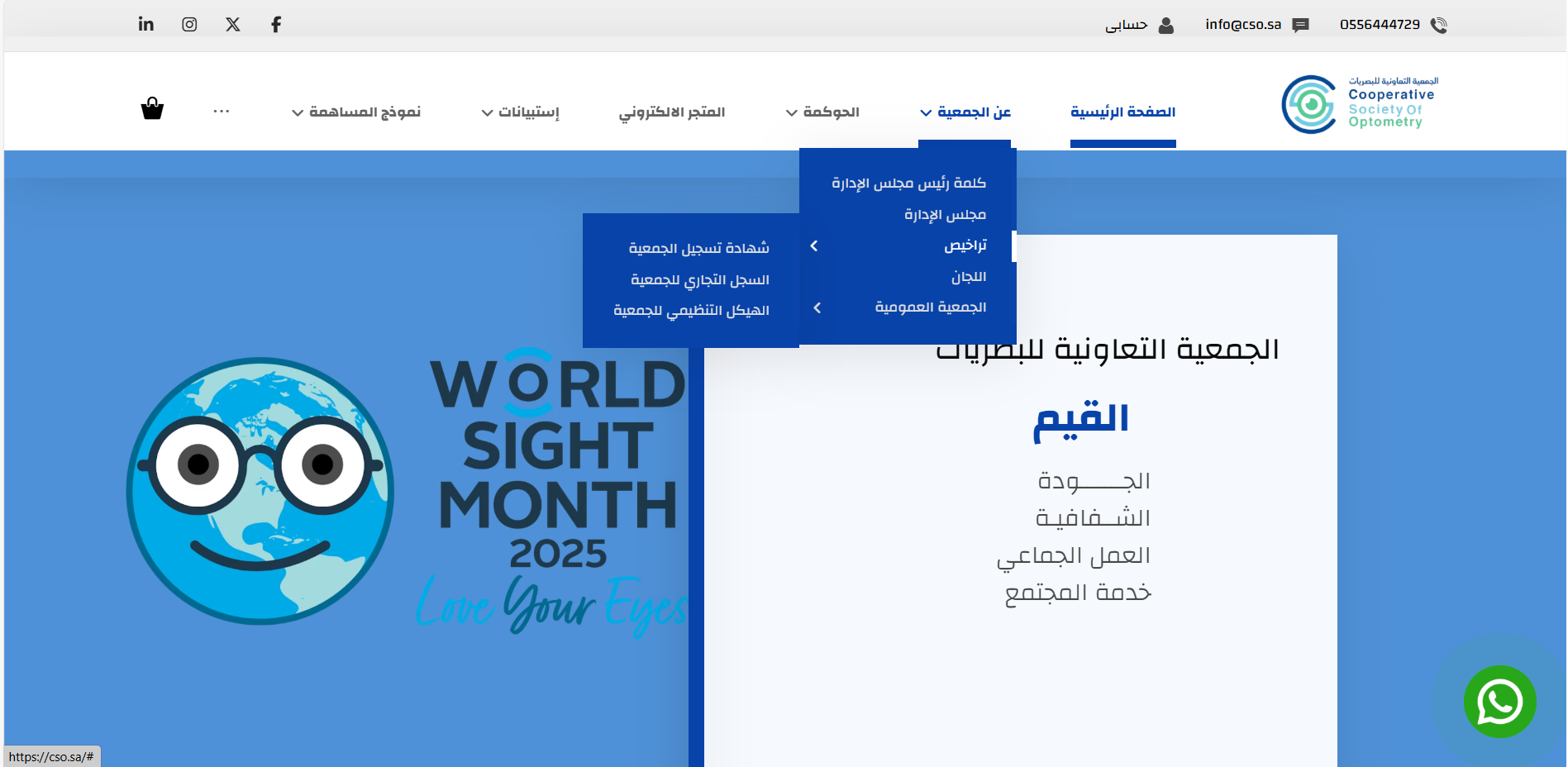 Portfolio projects section