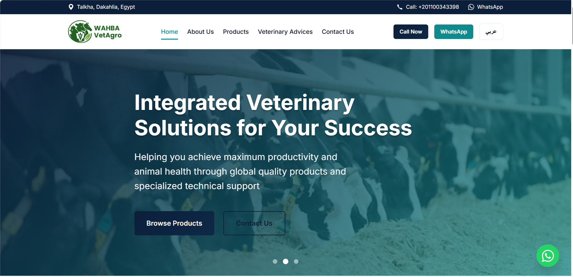 Portfolio website homepage