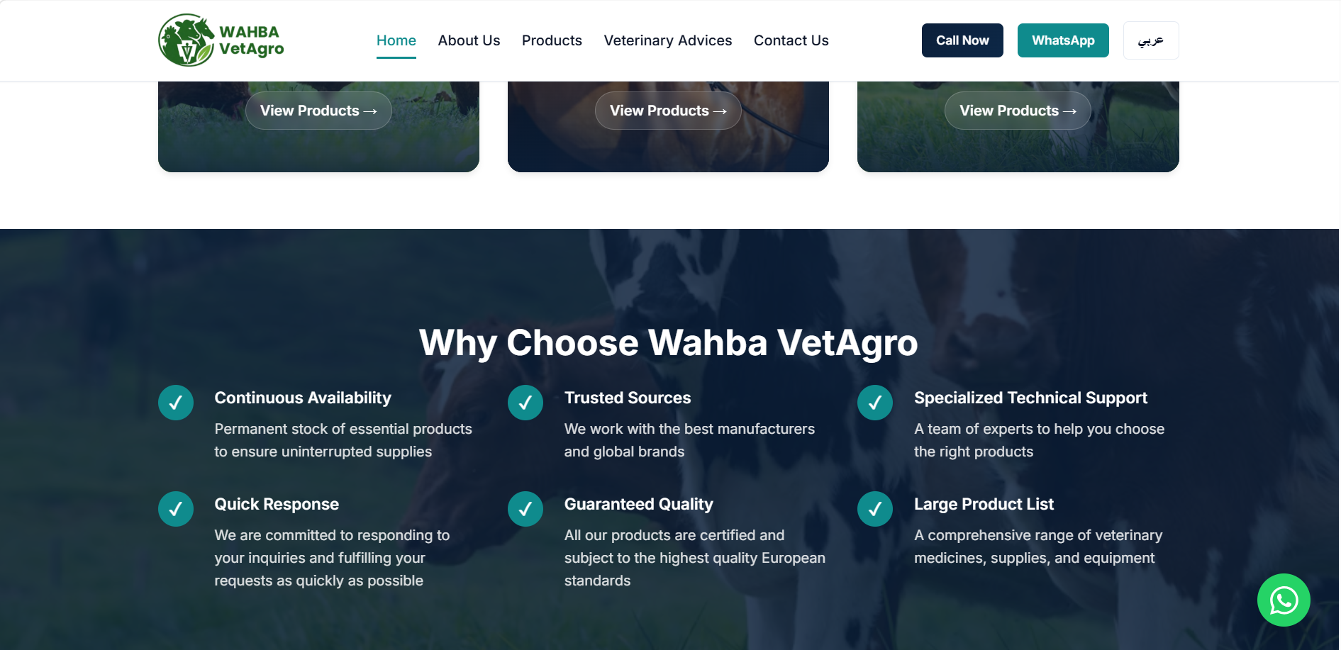 Portfolio contact section